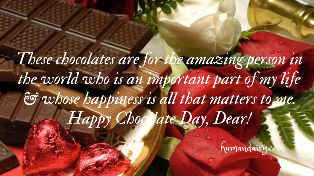 Happy Chocolate Day 2023: Messages, Wishes and Quotes