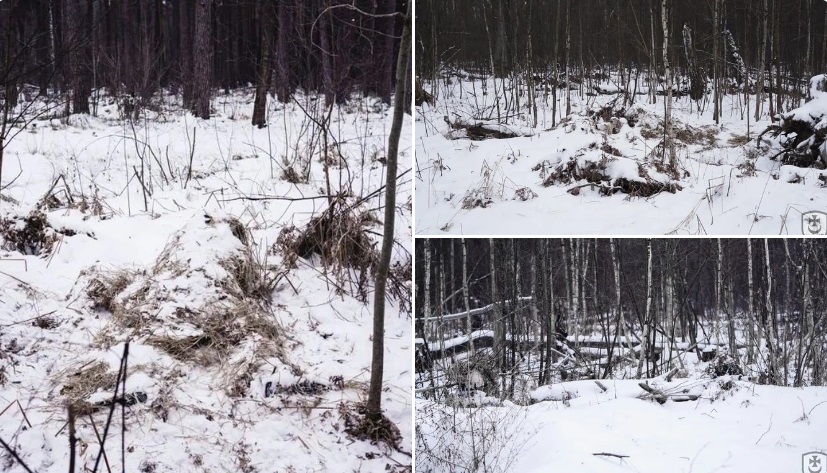 Ukraine Military Shares Photo Of Sniper Hiding In Plain Sight, Internet Impressed