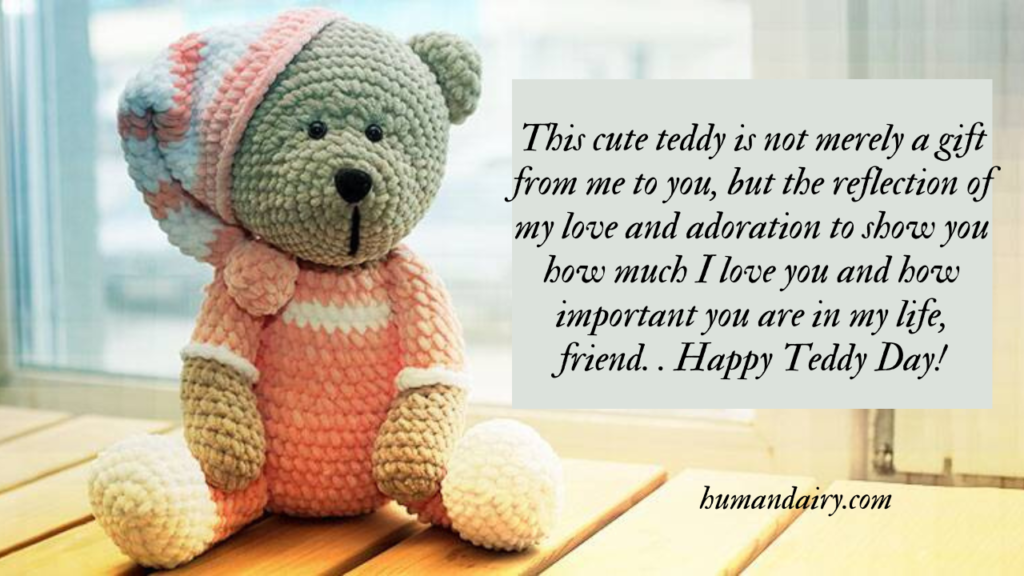 Happy Teddy Day 2023: Best wishes, Quotes  and Messages