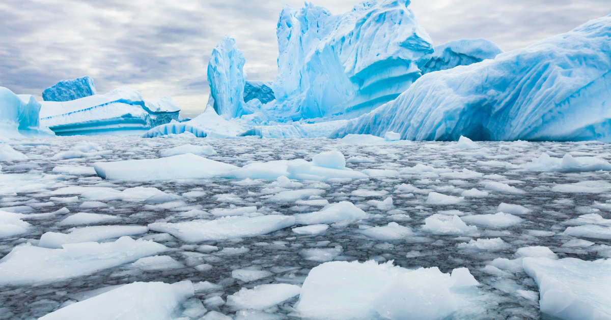 Greater London-sized iceberg may hit shipping and wildlife soon, scientists warn