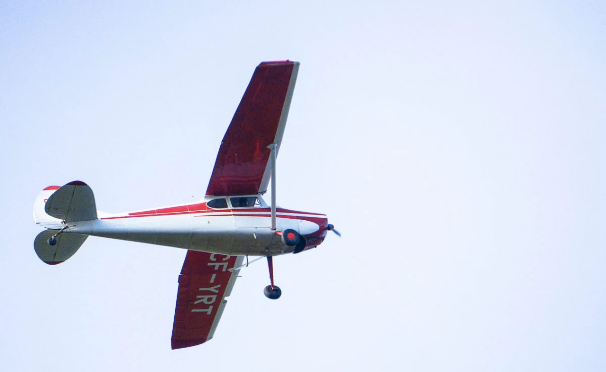 Cobra Reared Its Head, Pilot Held His Nerve, Made Safe Emergency Landing